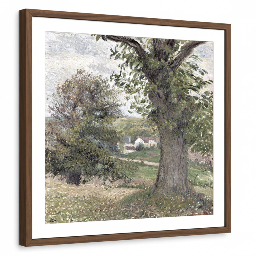 framed-print-brown-walnut-matted
