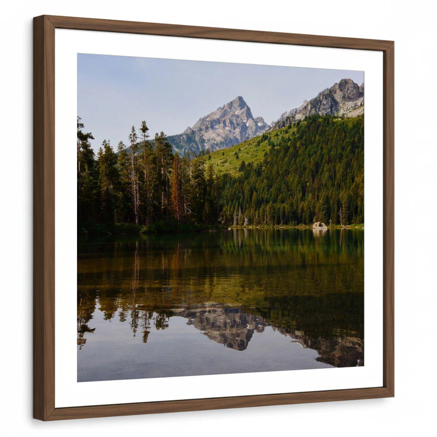 framed-print-brown-walnut-matted