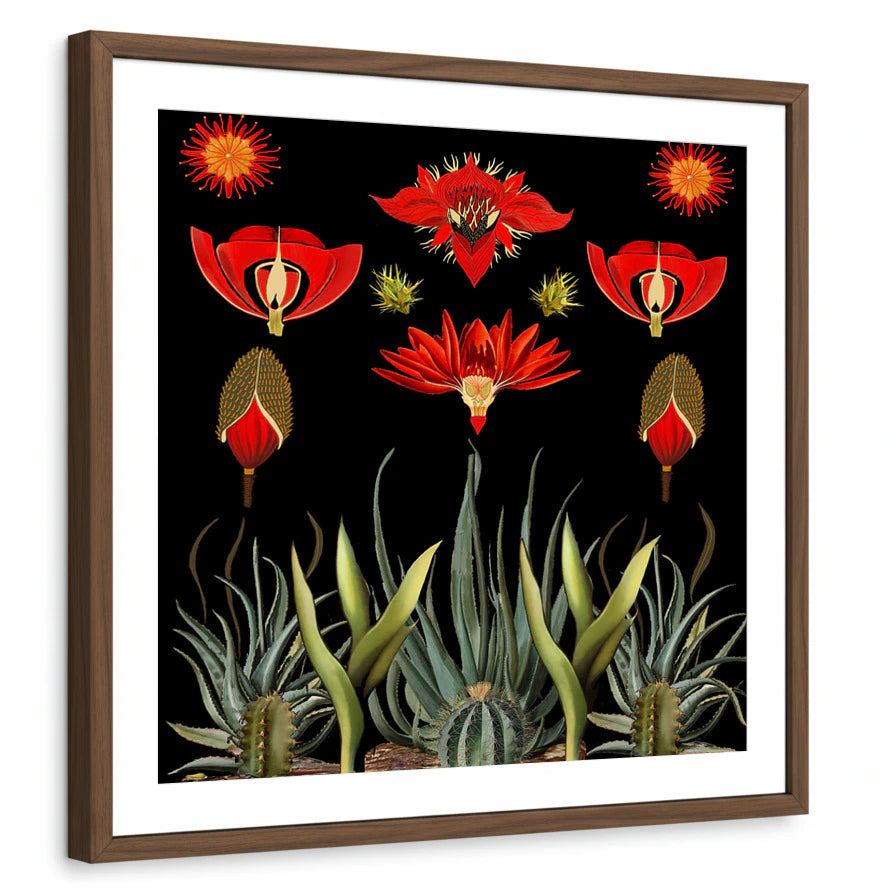 framed-print-brown-walnut-matted
