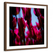 framed-print-brown-walnut-matted