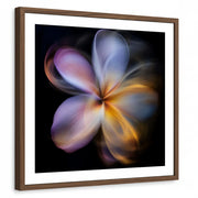 framed-print-brown-walnut-matted