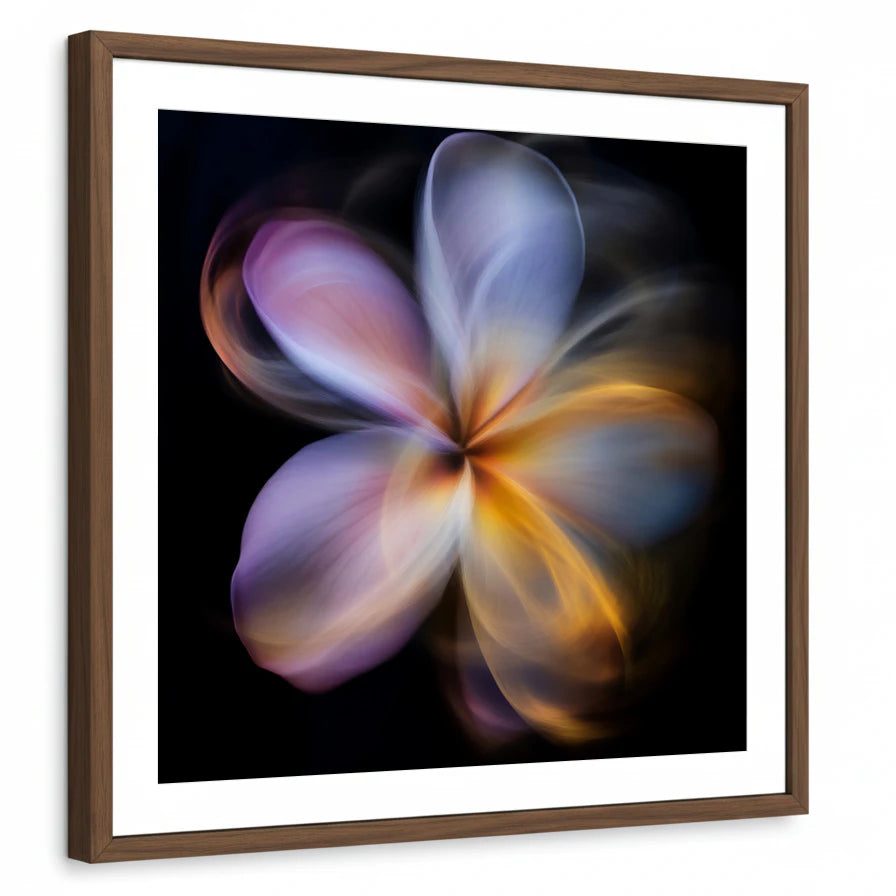 framed-print-brown-walnut-matted
