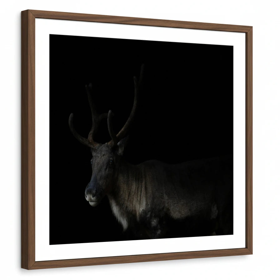 framed-print-brown-walnut-matted