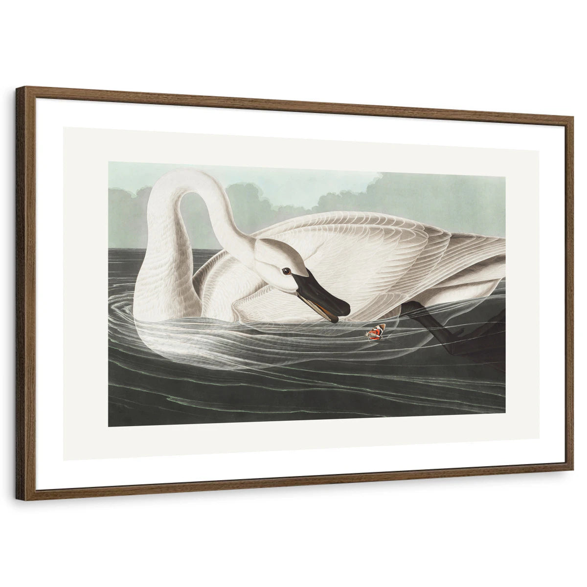 framed-print-brown-walnut-white-border
