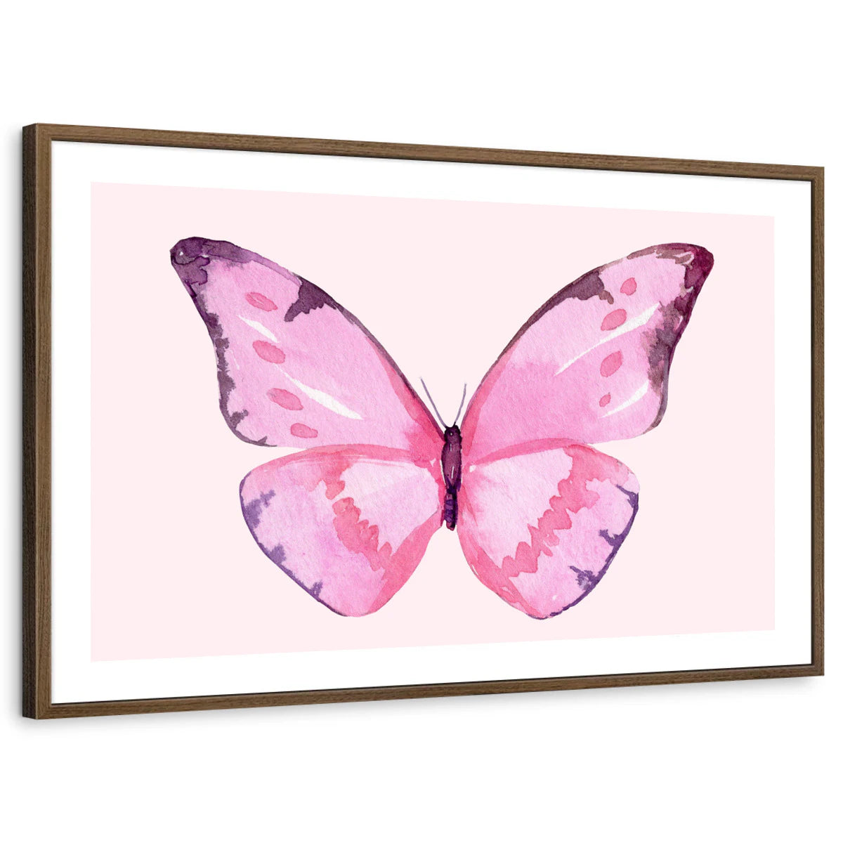framed-print-brown-walnut-white-border