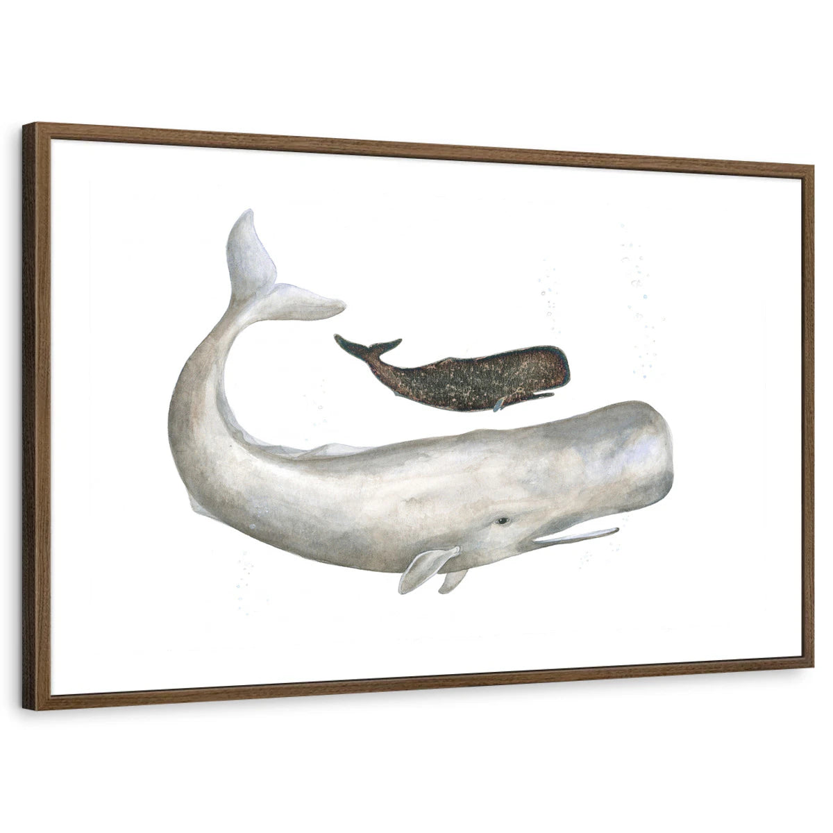 framed-print-brown-walnut-white-border