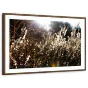 framed-print-brown-walnut-white-border