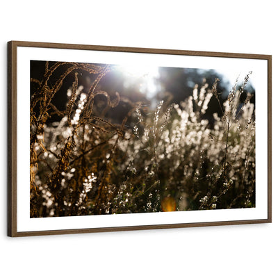 framed-print-brown-walnut-white-border