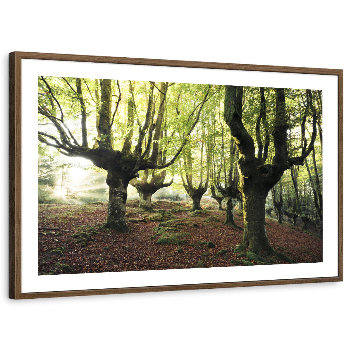 framed-print-brown-walnut-white-border