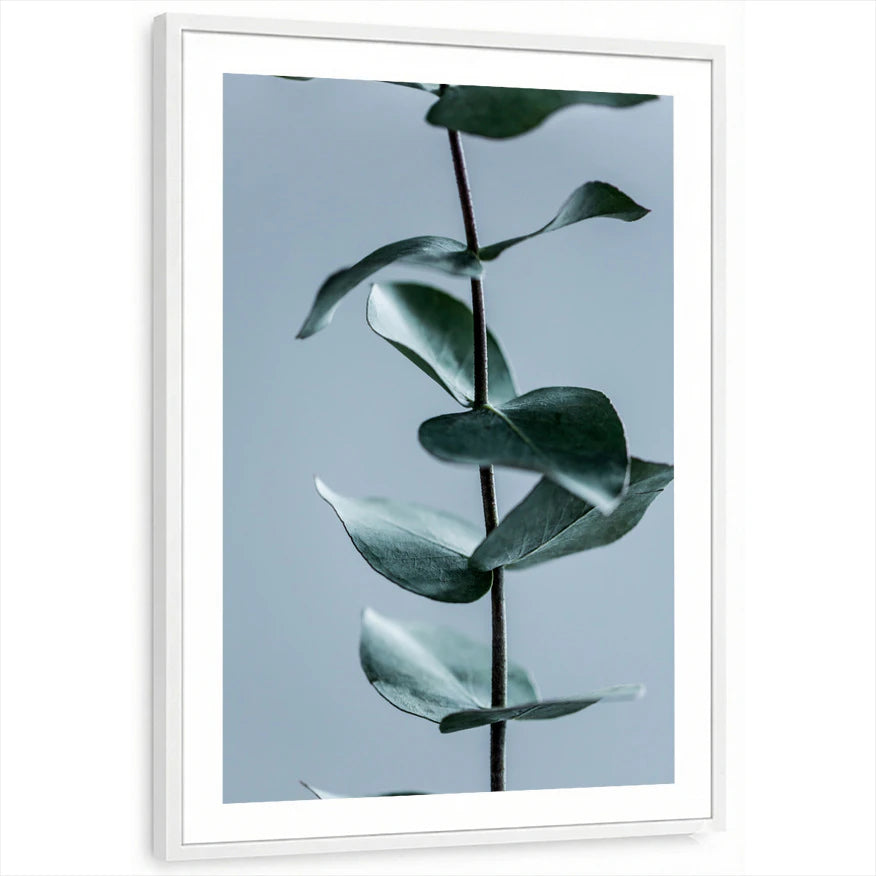 framed-print-white-white-border