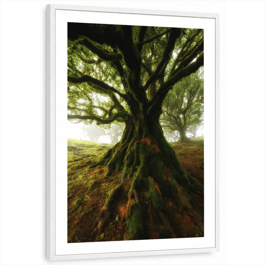 framed-print-white-white-border