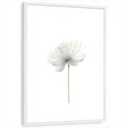 framed-print-white-white-border