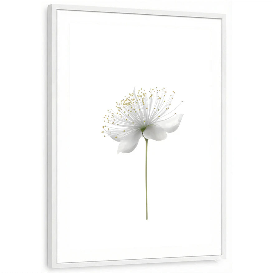 framed-print-white-white-border