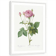 framed-print-white-white-border