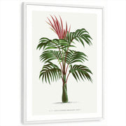 framed-print-white-white-border