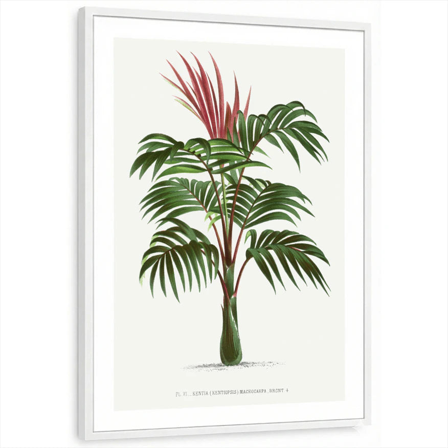 framed-print-white-white-border