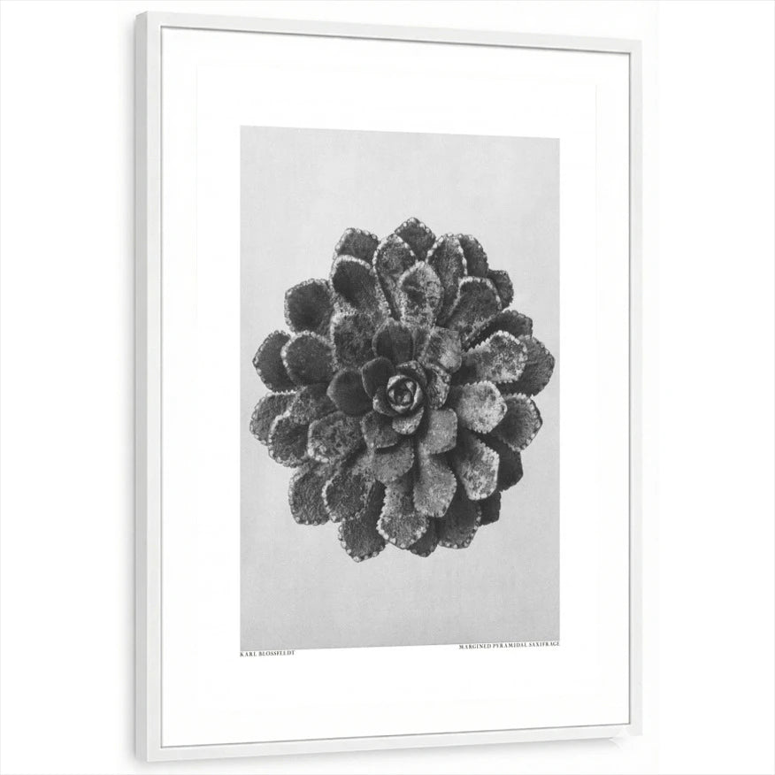 framed-print-white-white-border