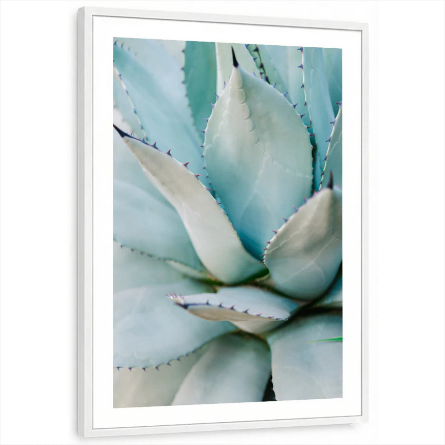 framed-print-white-white-border