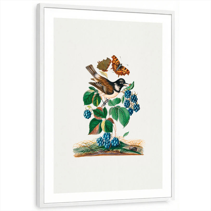 framed-print-white-white-border