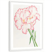 framed-print-white-white-border