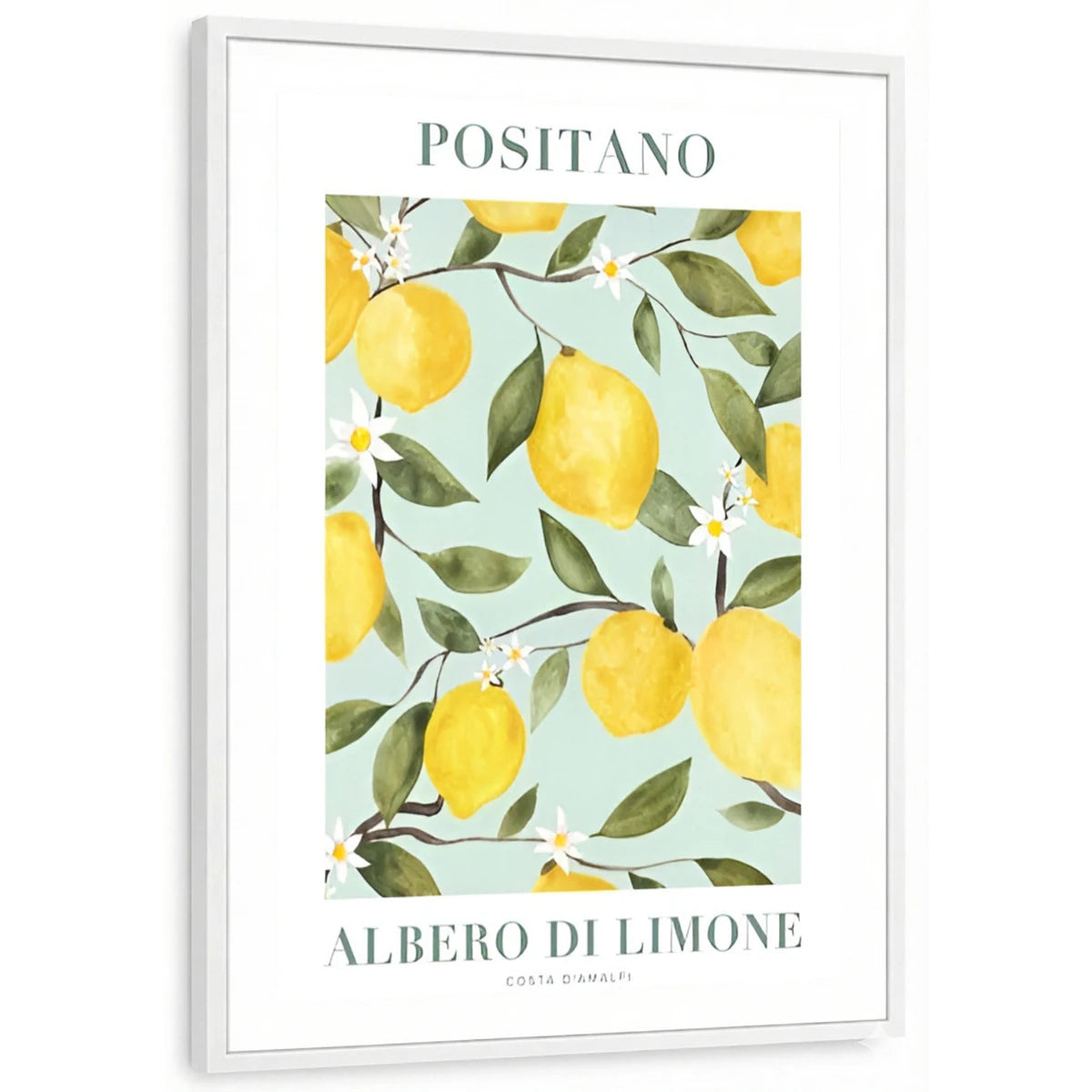 framed-print-white-white-border