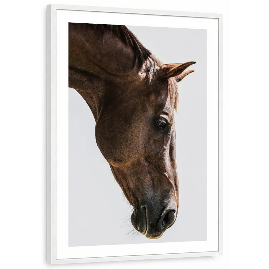 framed-print-white-white-border