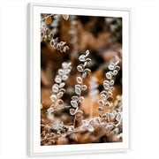 framed-print-white-white-border