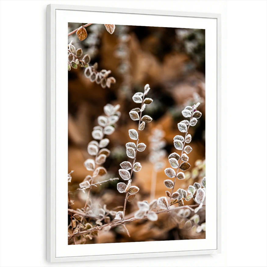 framed-print-white-white-border