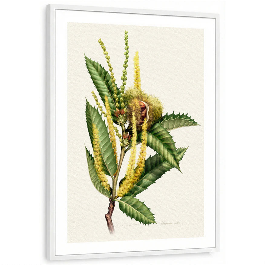 framed-print-white-white-border
