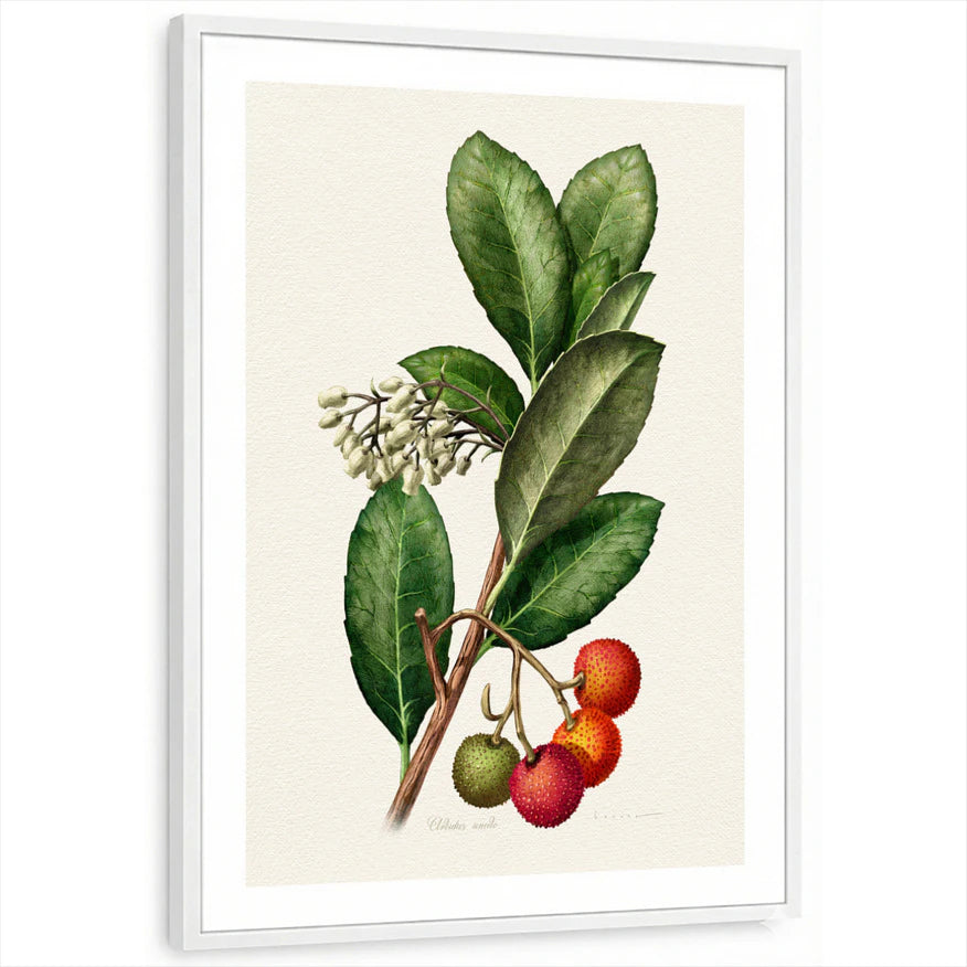 framed-print-white-white-border
