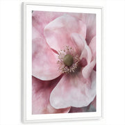 framed-print-white-white-border