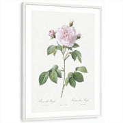 framed-print-white-white-border