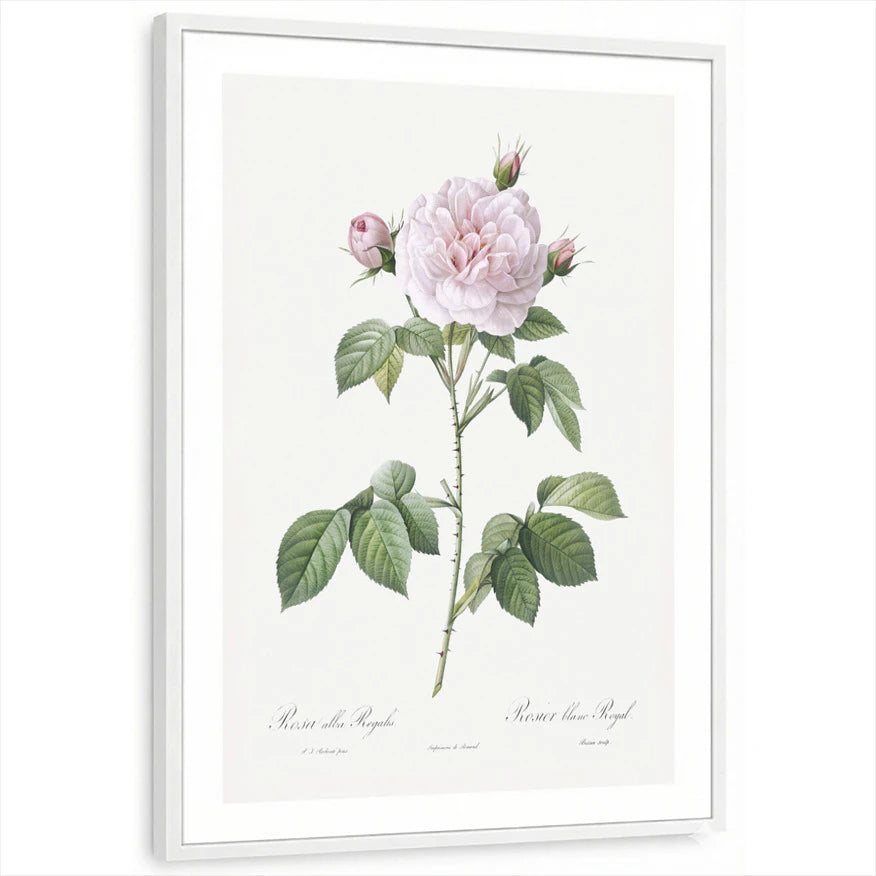 framed-print-white-white-border