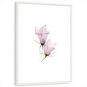 framed-print-white-white-border