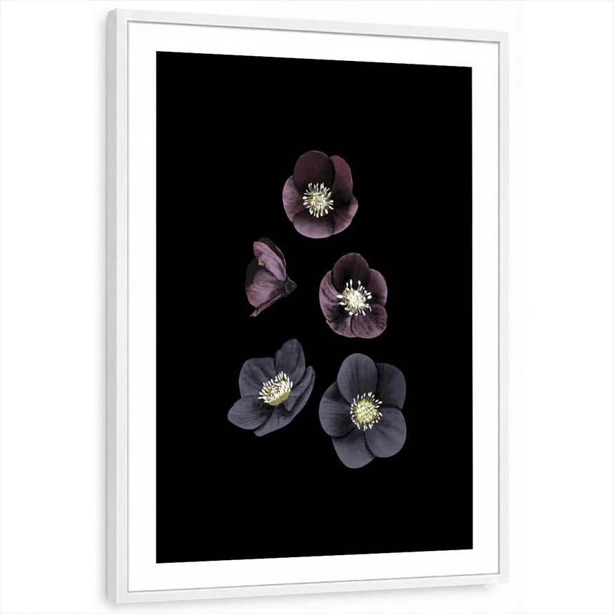 framed-print-white-white-border