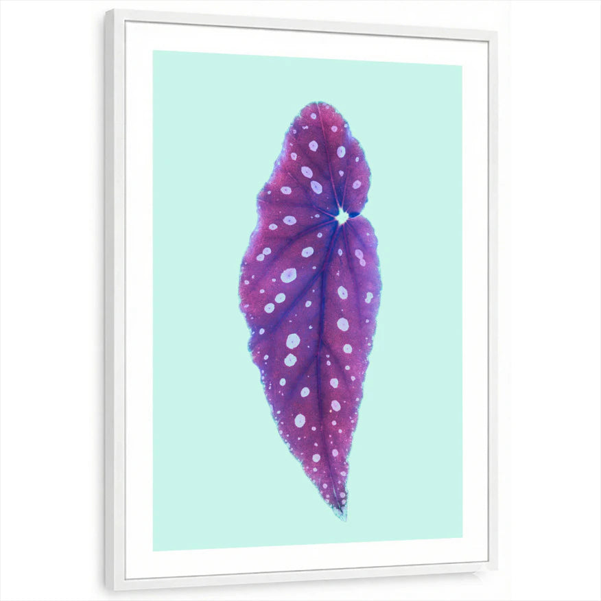 framed-print-white-white-border