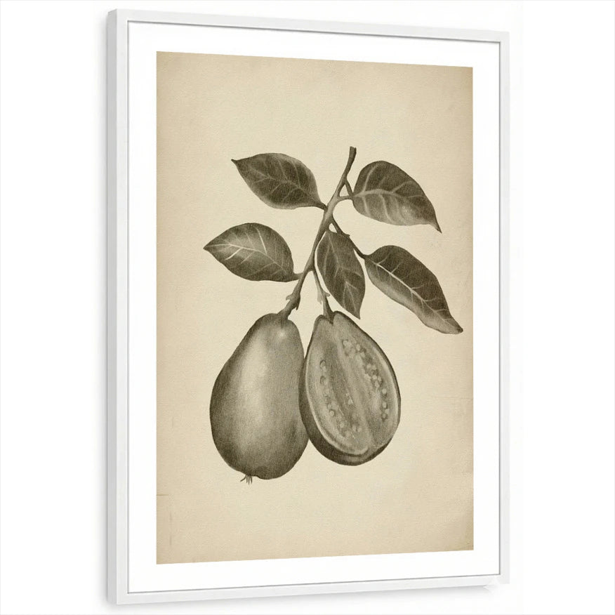 framed-print-white-white-border