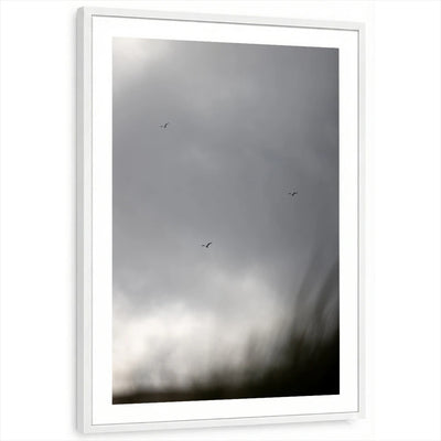 framed-print-white-white-border