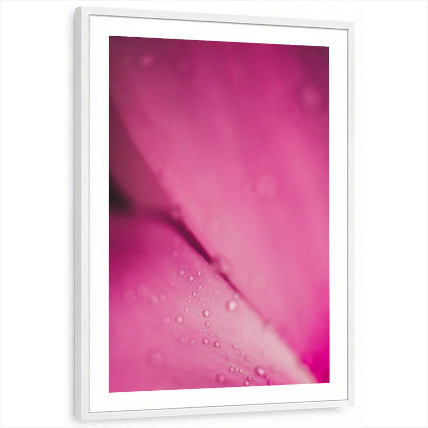 framed-print-white-white-border