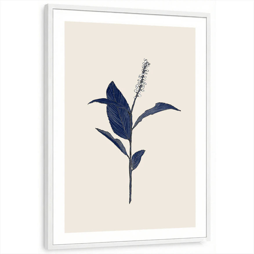 framed-print-white-white-border