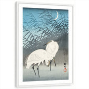 framed-print-white-white-border