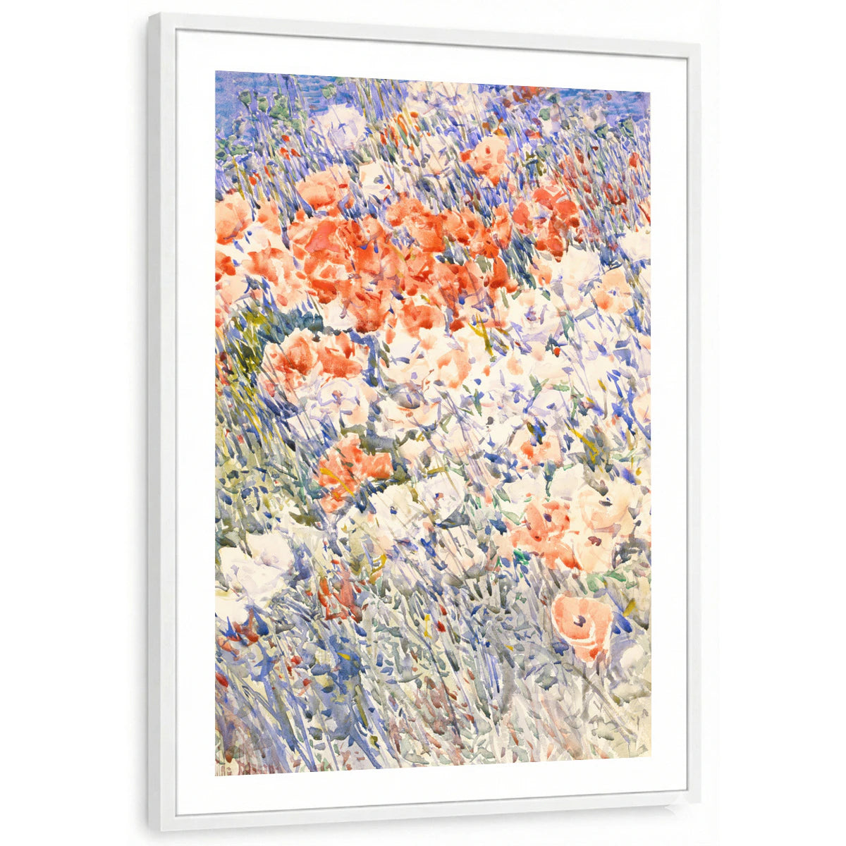 framed-print-white-white-border