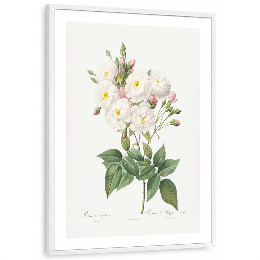 framed-print-white-white-border