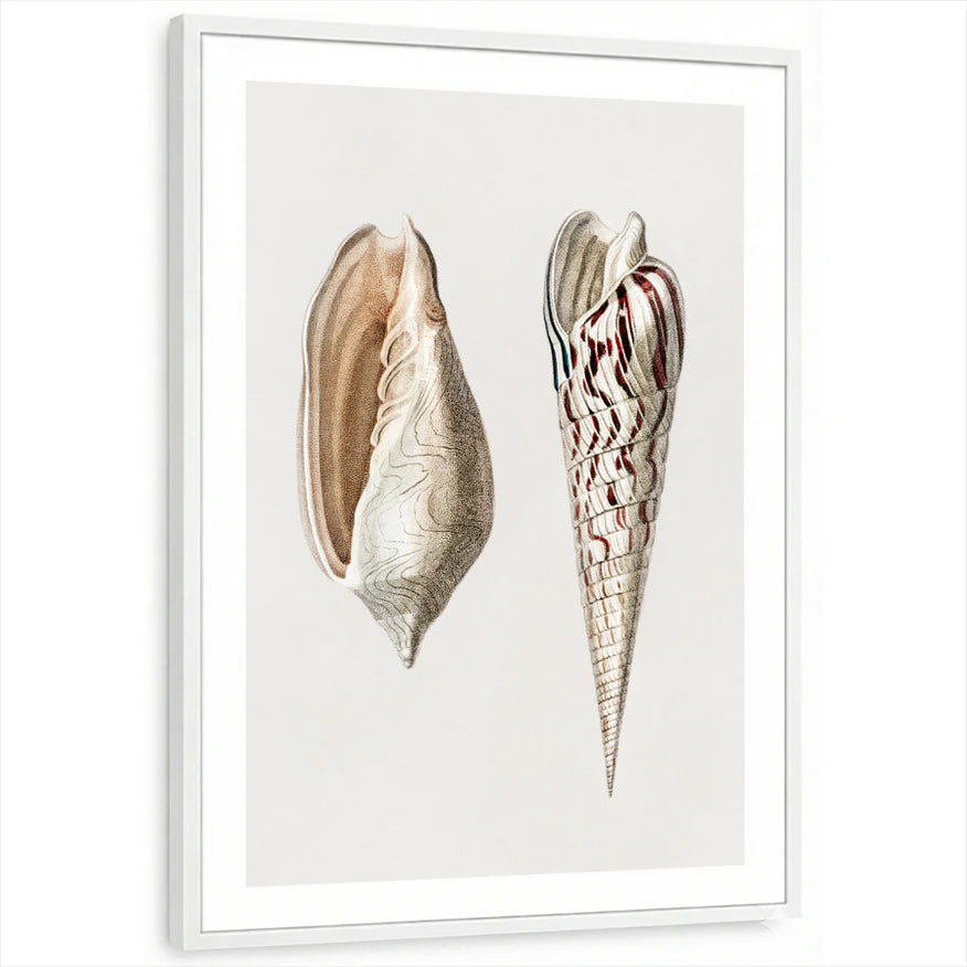 framed-print-white-white-border