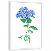 framed-print-white-white-border
