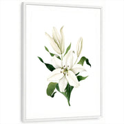 framed-print-white-white-border