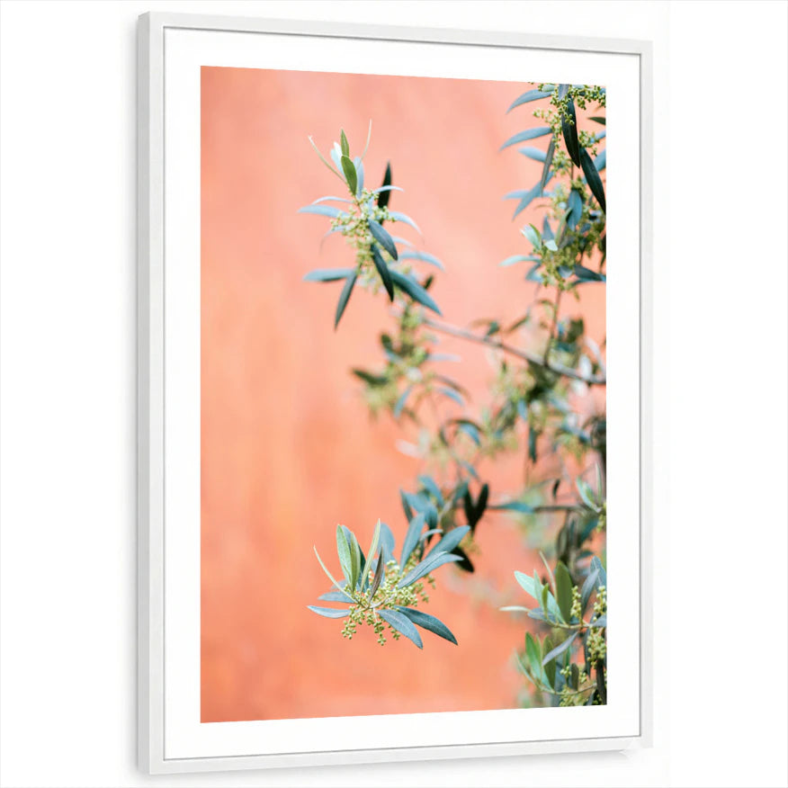 framed-print-white-white-border