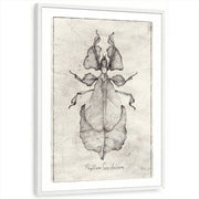 framed-print-white-white-border