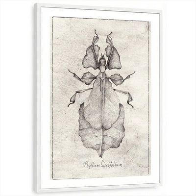 framed-print-white-white-border