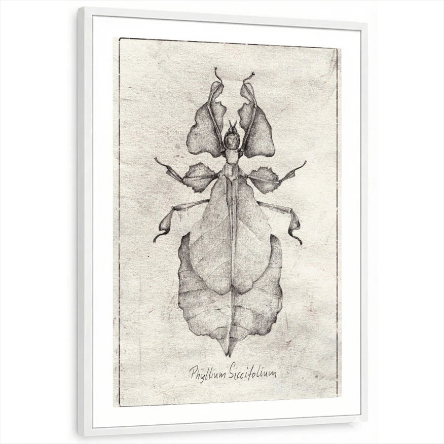 framed-print-white-white-border